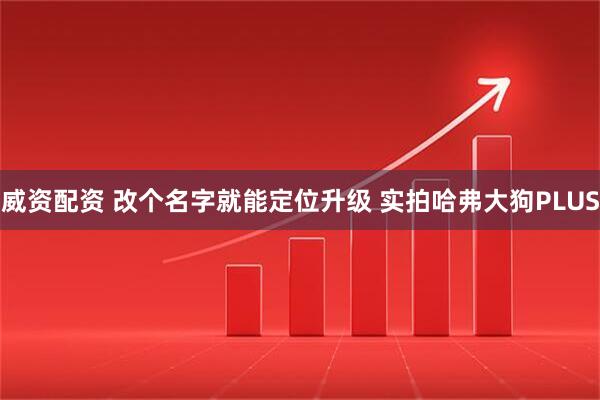 威资配资 改个名字就能定位升级 实拍哈弗大狗PLUS