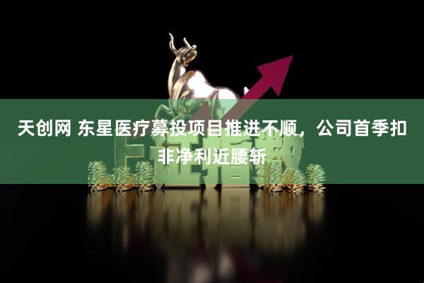 天创网 东星医疗募投项目推进不顺,公司首季扣非净利近腰斩